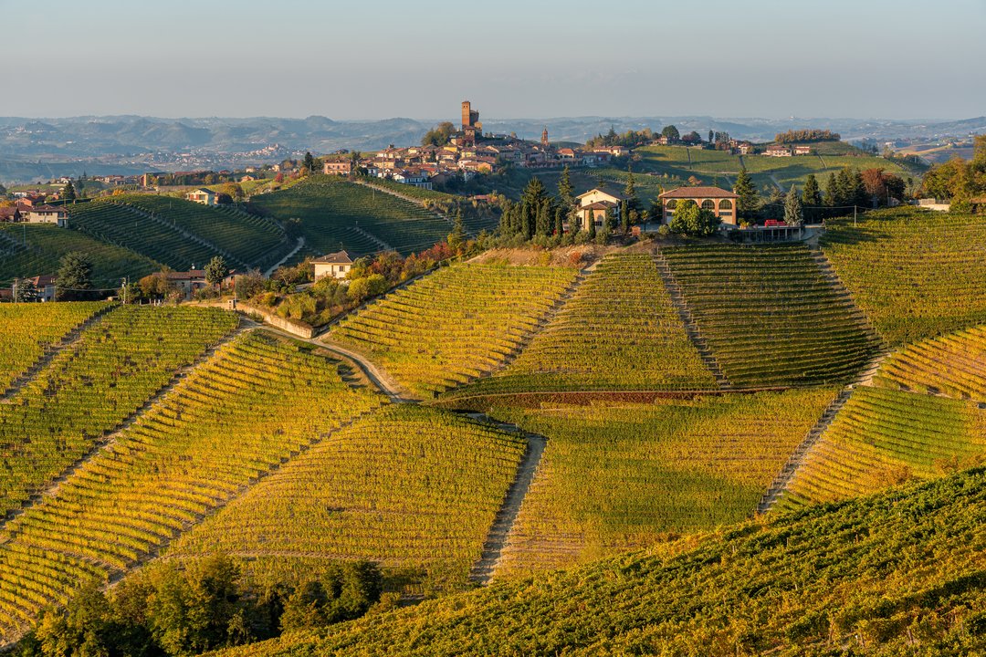 “Il Gusto del Viaggio” 2.1 - Il Piemonte: Vini reali e cucina Sabauda al Savoia di Genova