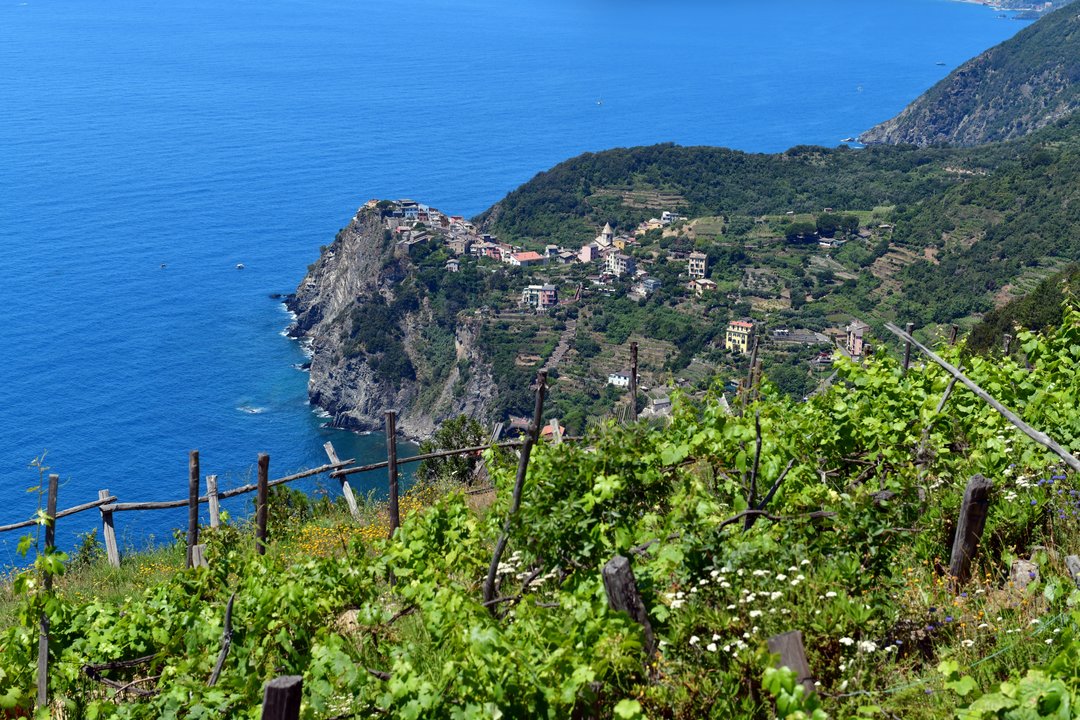 Masterclass sulla Vitivinicoltura in Liguria. Paesaggio, terroir, vitigni e vino