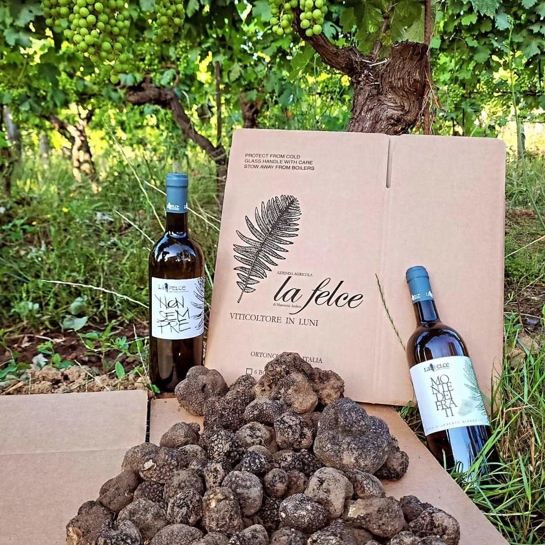 Tartufo, zafferano e… i vini che non esistono. “La Felce” di Andrea Marcesini incontra Ais Tigullio Portofino